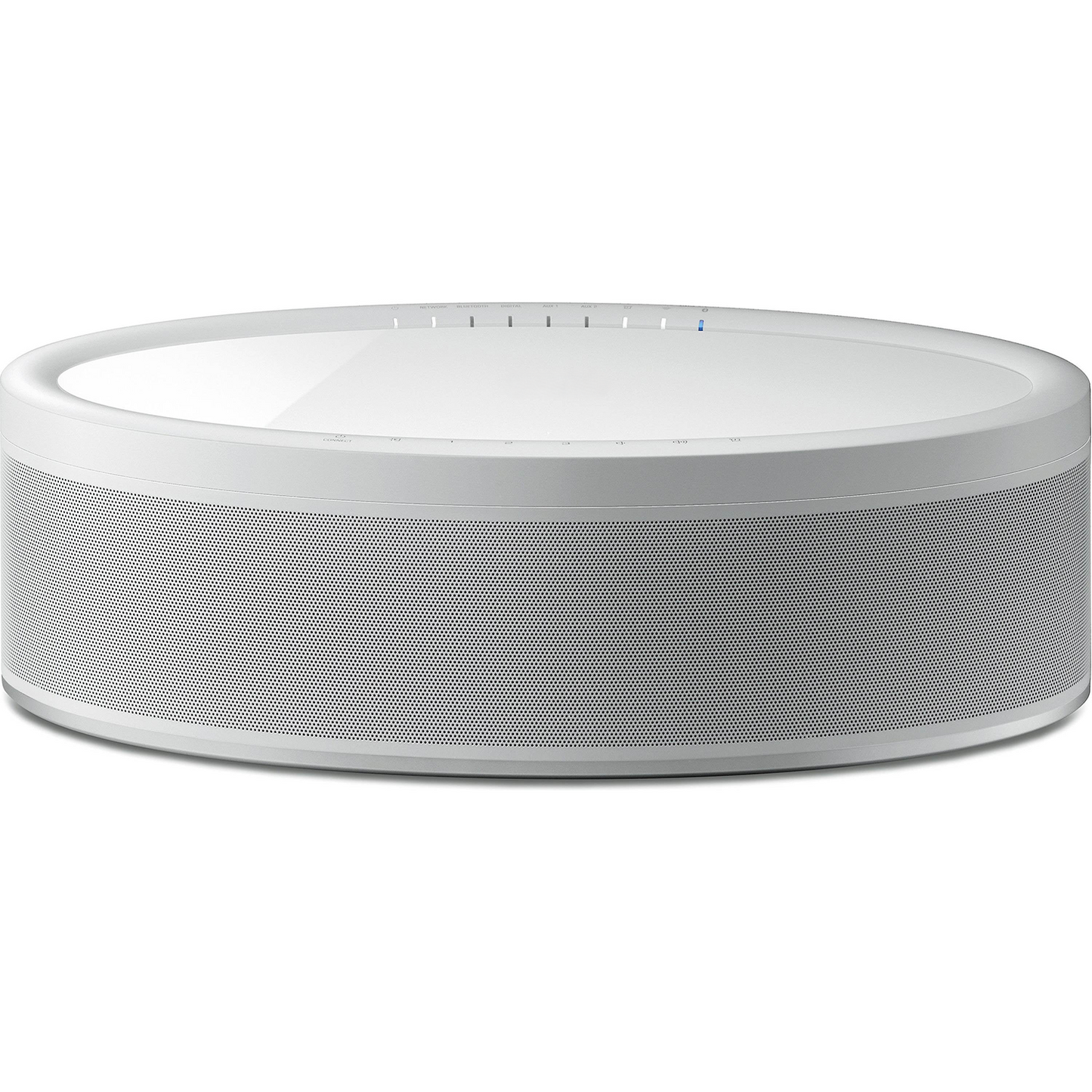 Oval Multi-Room Streaming Audio Unit, Dual-Mode Wi-Fi And Bluetooth Powered Speaker With Wired Connection Interfaces