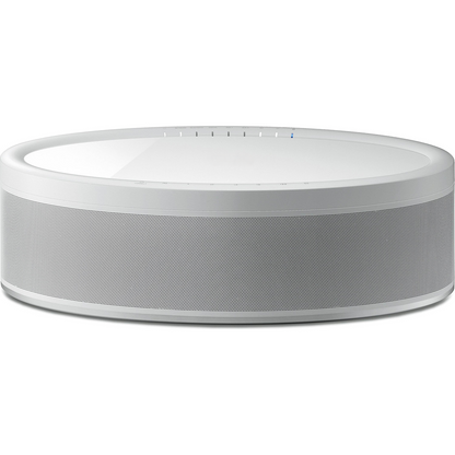 Oval Multi-Room Streaming Audio Unit, Dual-Mode Wi-Fi And Bluetooth Powered Speaker With Wired Connection Interfaces